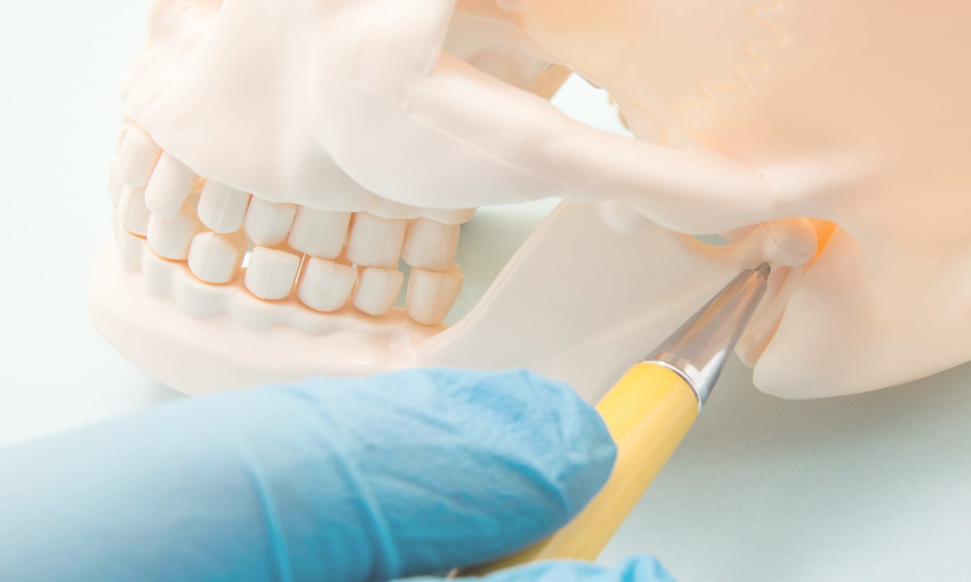Dentist explaining T M J treatments using jaw and skull bone model